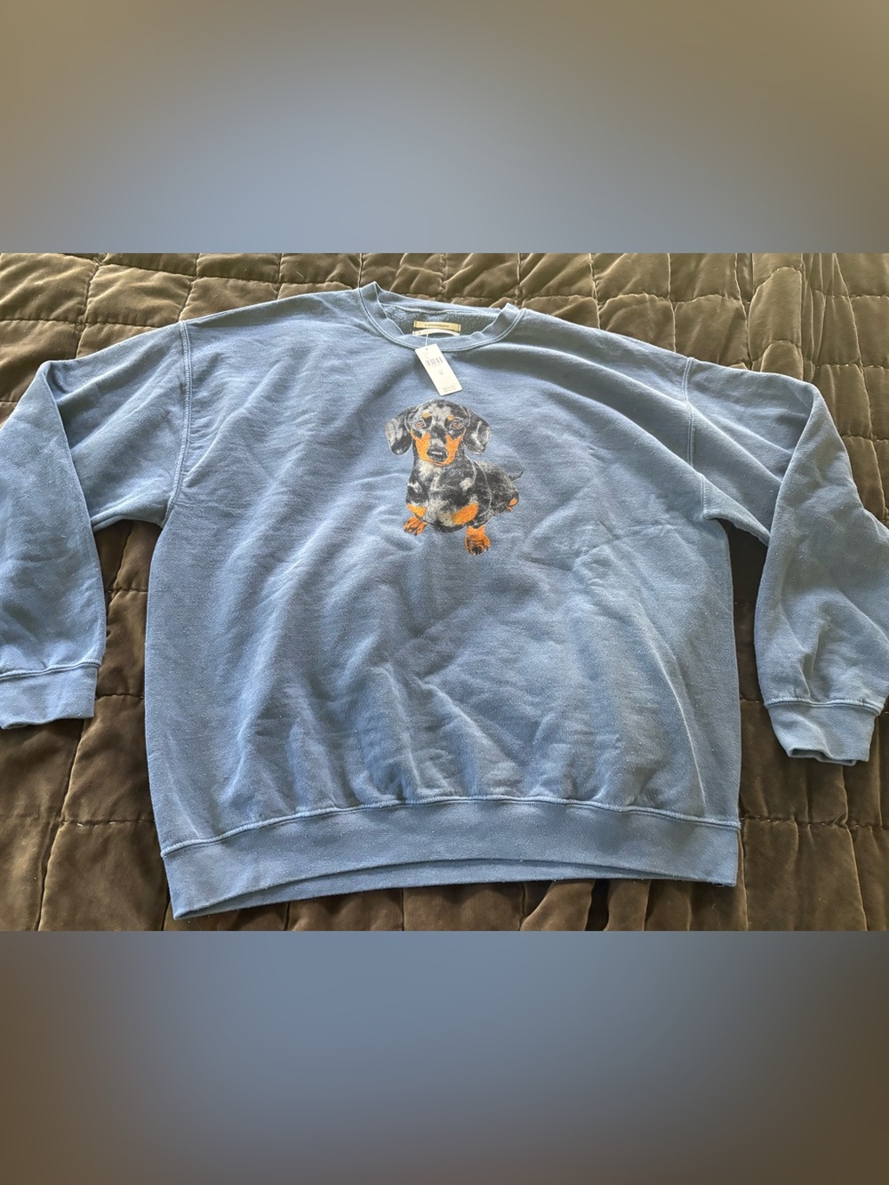 NWT Anthropologie Dachshund Graphic Sweatshirt - Picture 3 of 4